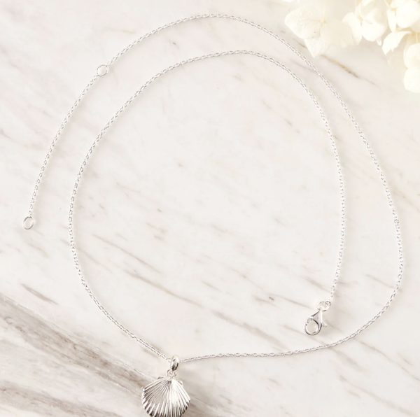 Seashell Locket